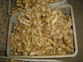 2024 new crops  AIR DRIED GINGER 11