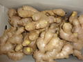 2024 new crops  AIR DRIED GINGER 10