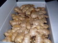 2024 new crops  AIR DRIED GINGER 15