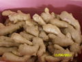 2024 new crops  AIR DRIED GINGER 17