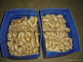 FRESH AIR DRIED GINGER