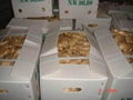  HIGH QUALITY FRESH AIR DRIED GINGER 15