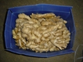 2024 NEW FRESH AIR DRIED GINGER 11