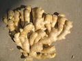 2023 CROP FRESH AIR DRIED GINGER