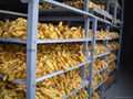 2024 CROP FRESH AIR DRIED GINGER 19