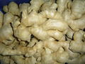 FRESH SEMI AIR DRIED GINGER