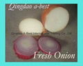 FRESH RED ONION 6