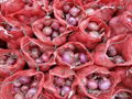 FRESH RED ONION 14