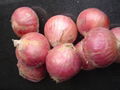 FRESH RED ONION 6