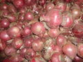 FRESH RED ONION 7