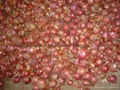 2022 NEW CROPS FRESH RED ONION 10