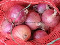 2022 NEW CROPS FRESH RED ONION 2