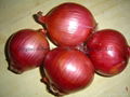 2022 CROPS FRESH RED ONION 9