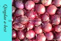 2022 CROPS FRESH RED ONION 16