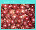 2022 CROPS FRESH RED ONION 20