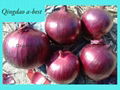 ONION