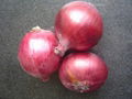 FRESH RED ONION 16