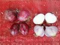 FRESH RED ONION 5