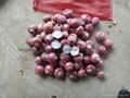 NEW CROPS FRESH RED ONIONS 9