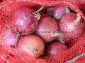 NEW CROPS FRESH RED ONIONS 10