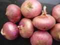 FRESH ONION 3