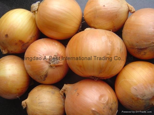 2022 NEW CROPS FRESH YELLOW AND RED ONION 4
