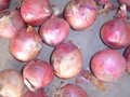 2022 NEW CROPS FRESH YELLOW AND RED ONION 15