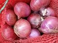 2022 NEW CROPS FRESH YELLOW AND RED ONION 3