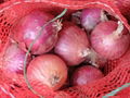 ORGANIC FRESH RED ONIONS 6