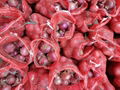 ORGANIC FRESH RED ONIONS 13