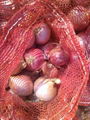 ORGANIC FRESH RED ONIONS 15