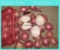 ORGANIC FRESH RED ONIONS 2