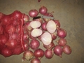 FRESH PINK ONION