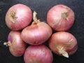 2022 NEW CROPS FRESH RED ONION 6