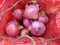 2022 NEW CROPS FRESH RED ONION 16