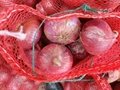 2022 NEW CROPS FRESH RED ONION 5