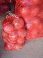 NEW FRESH PINK ONION 19