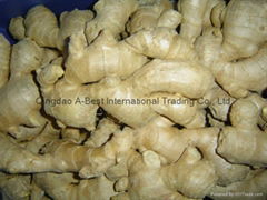 BIG FRESH AIR DRIED GINGER