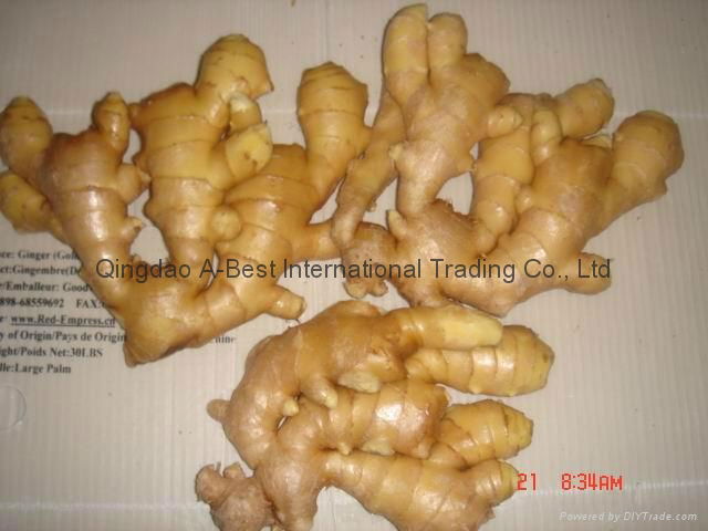 WASHED AND AIR DRIED GINGER 4