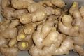 CLEARED AND AIR DRIED GINGER 7
