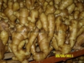 FRESH AIR DRIED GINGER