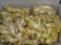 AIR DRIED FRESH GINGER 13