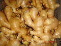 AIR DRIED FRESH GINGER 4