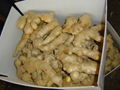 CHINESE FRESH AIR DRIED GINGER 2