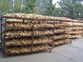 CHINA HIGH QUALITY FRESH JUMBO GINGER