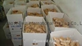 CHINA HIGH QUALITY FRESH JUMBO GINGER