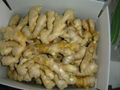 2024 CHINA JUMBO AIR DRIED GINGER 13