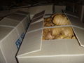 UK MARKET FRESH AIR DRIED GINGER 18