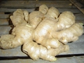 AIR DRIED GINGER 12