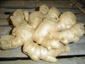 AIR DRIED GINGER